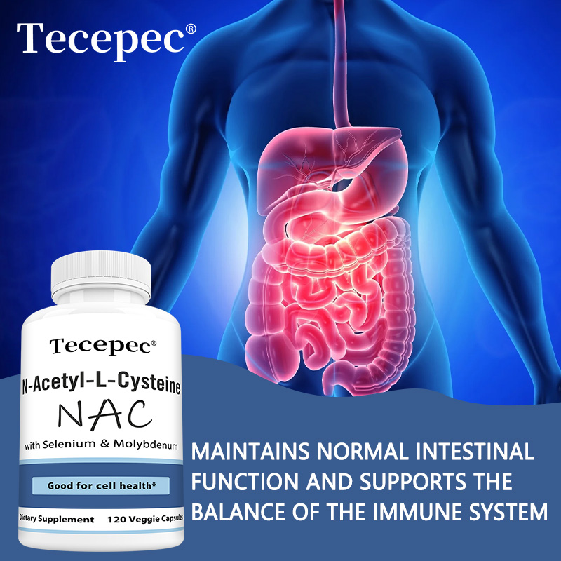NAC Capsules – Antioxidant, Su - Health Wellness Day reseña y precio