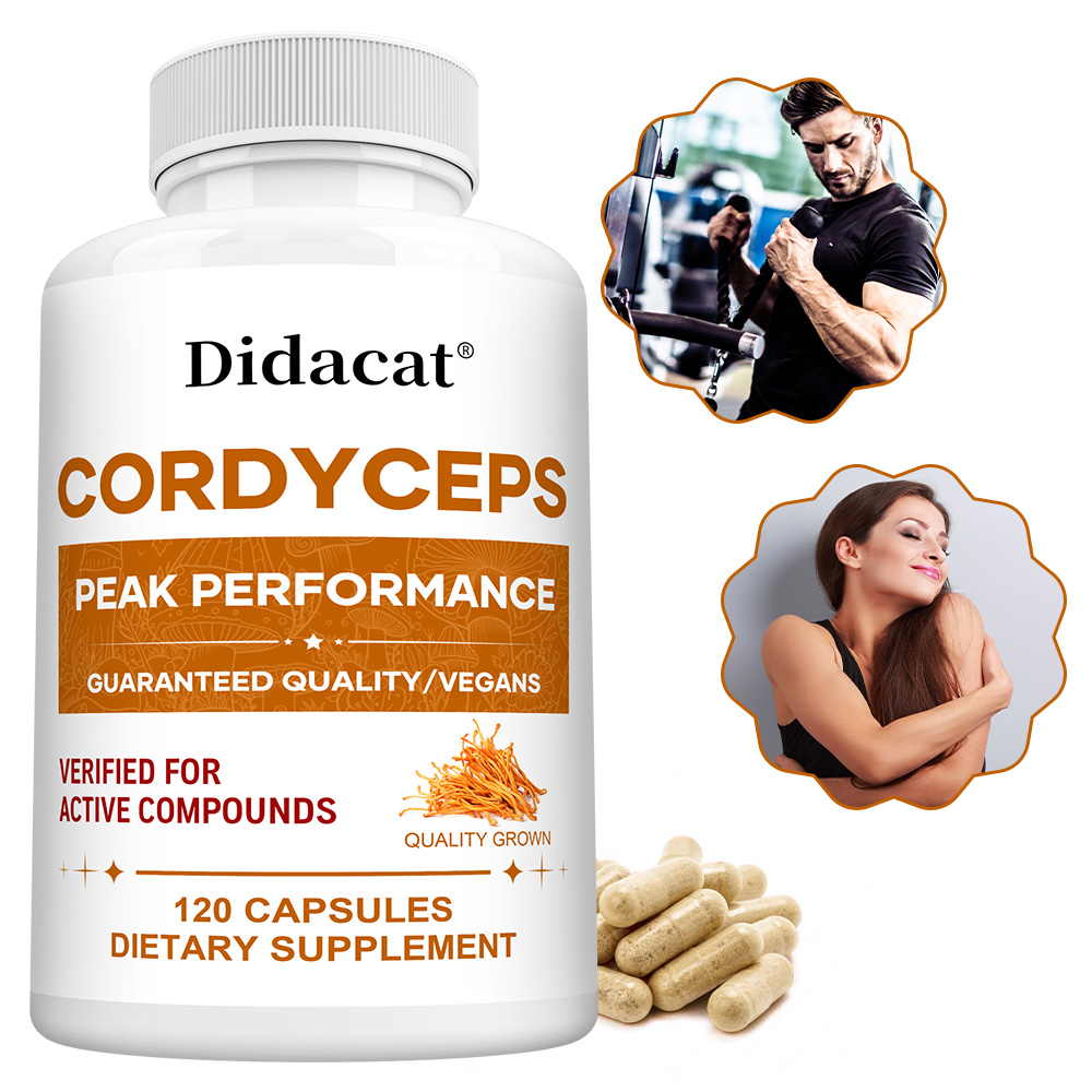 Cordyceps Mushroom Capsules 10 - Health Wellness Day reseña y precio